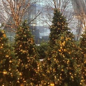 Meet your Posher, Grettel